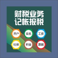 财税业务-小规模记帐报税